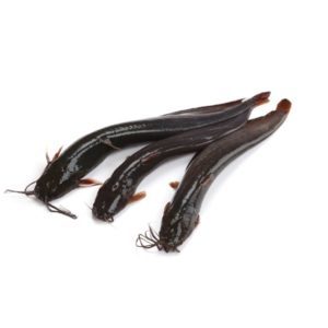 Shing_medium-1kg (Net Weight ± 50 gm)